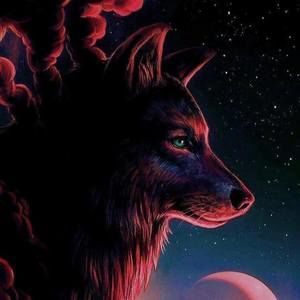 Meet your Posher, Mia